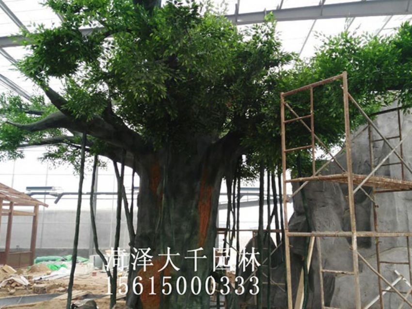 點(diǎn)擊查看詳細(xì)信息<br>標(biāo)題：假樹 閱讀次數(shù)：1202