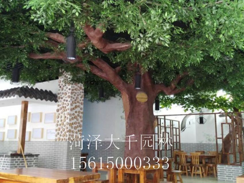 點(diǎn)擊查看詳細(xì)信息<br>標(biāo)題：假樹 閱讀次數(shù)：1153
