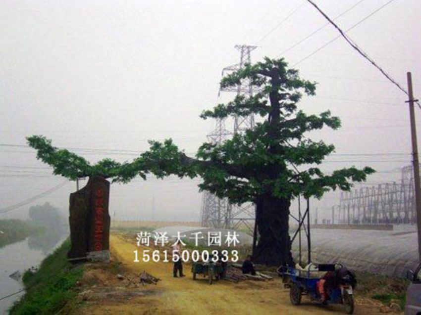 點(diǎn)擊查看詳細(xì)信息<br>標(biāo)題：假樹 閱讀次數(shù)：1247