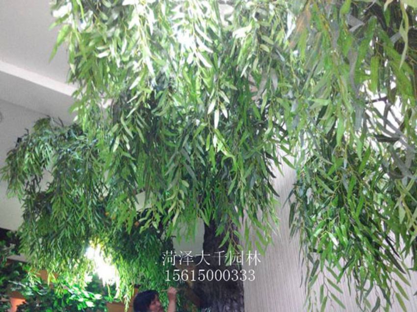 點(diǎn)擊查看詳細(xì)信息<br>標(biāo)題：假樹 閱讀次數(shù)：1260