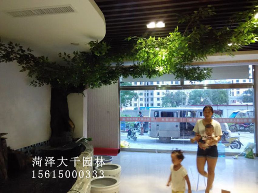 點(diǎn)擊查看詳細(xì)信息<br>標(biāo)題：假樹 閱讀次數(shù)：1280