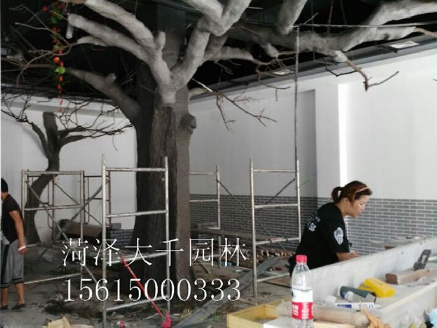 點(diǎn)擊查看詳細(xì)信息<br>標(biāo)題：假樹(shù) 閱讀次數(shù)：1262