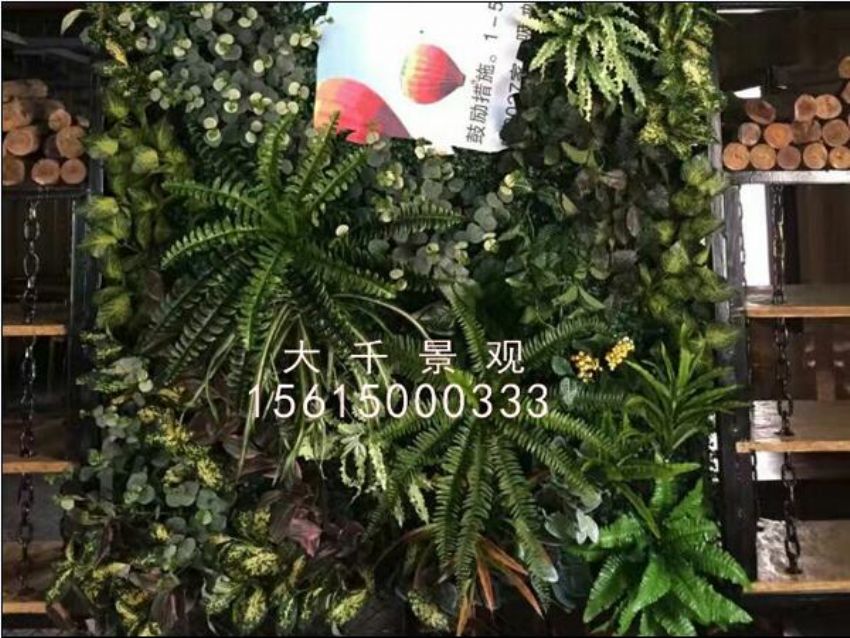 點(diǎn)擊查看詳細(xì)信息<br>標(biāo)題：綠植墻 閱讀次數(shù)：1255
