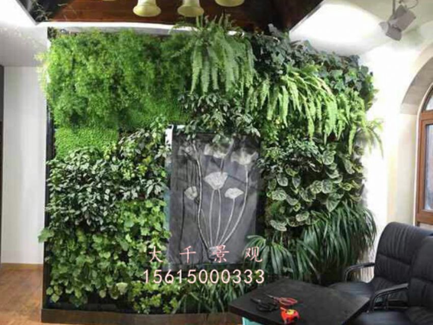 點(diǎn)擊查看詳細(xì)信息<br>標(biāo)題：綠植墻 閱讀次數(shù)：1502